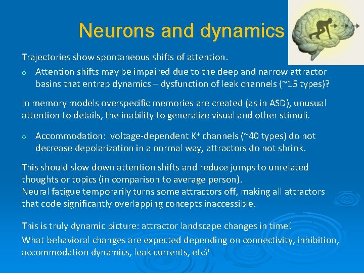 Neurons and dynamics Trajectories show spontaneous shifts of attention. o Attention shifts may be