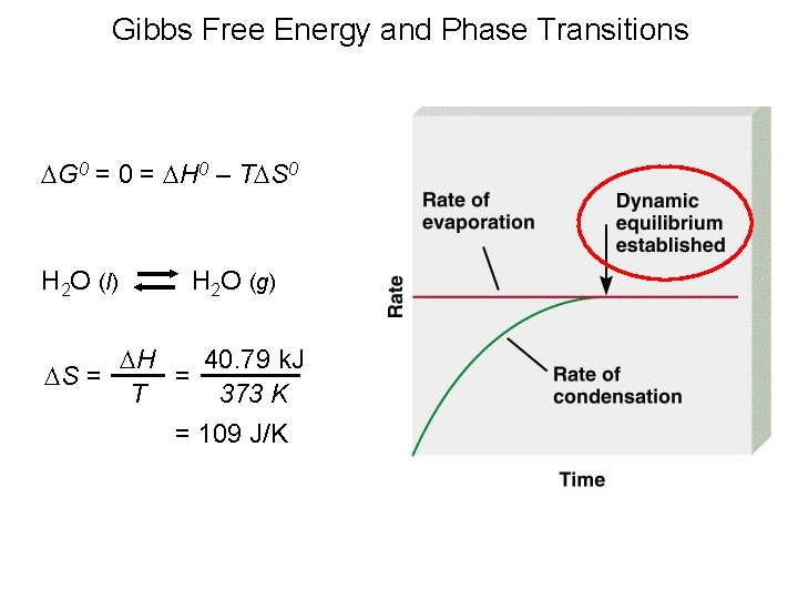 Gibbs Free Energy and Phase Transitions DG 0 = DH 0 – TDS 0