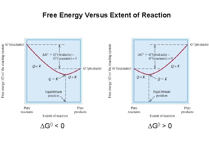 Free Energy Versus Extent of Reaction DG 0 < 0 DG 0 > 0