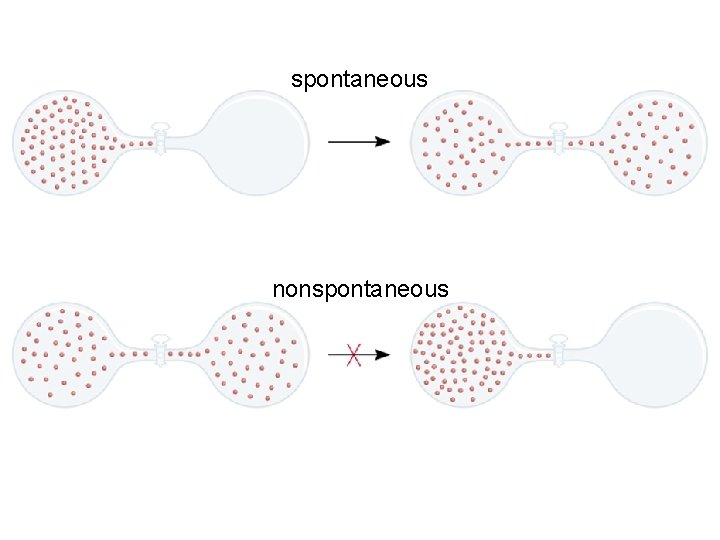 spontaneous nonspontaneous 