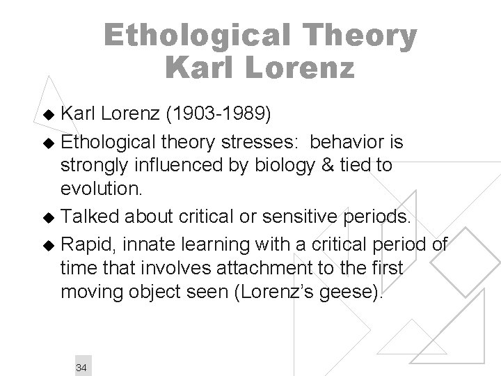 Ethological Theory Karl Lorenz (1903 -1989) u Ethological theory stresses: behavior is strongly influenced