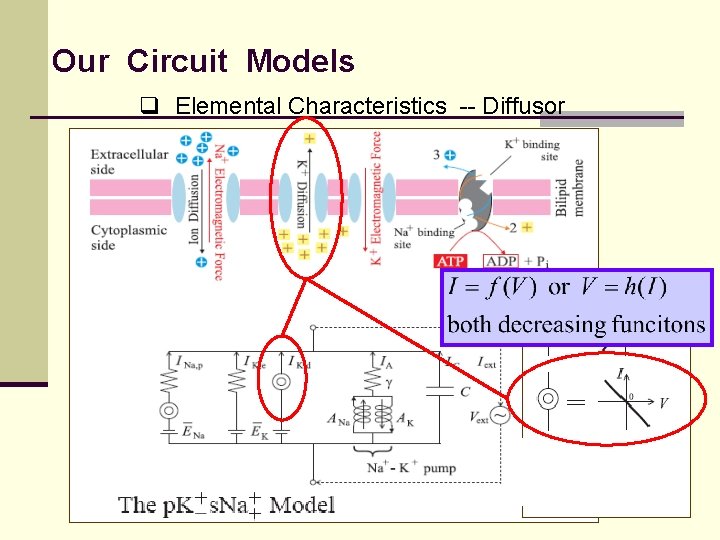Our Circuit Models q Elemental Characteristics -- Diffusor 