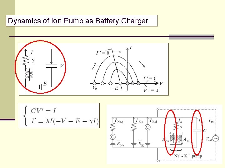 Dynamics of Ion Pump as Battery Charger 