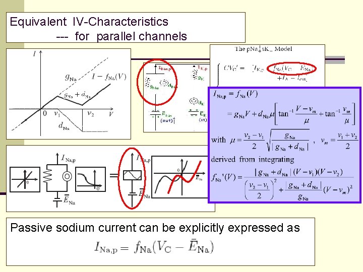 Equivalent IV-Characteristics --- for parallel channels Passive sodium current can be explicitly expressed as