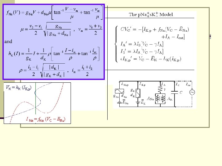 VK = h. K (IK, p) I Na = f. Na (VC – ENa)