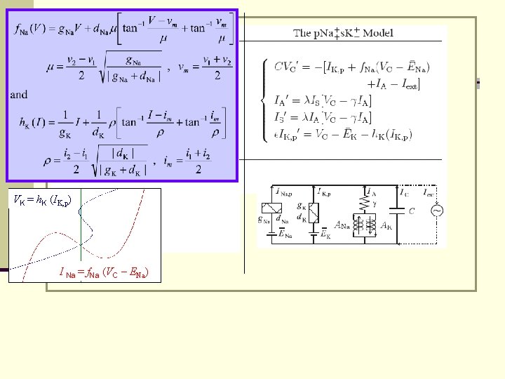 VK = h. K (IK, p) I Na = f. Na (VC – ENa)