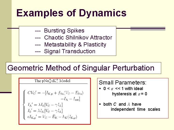 Examples of Dynamics ----- Bursting Spikes Chaotic Shilnikov Attractor Metastability & Plasticity Signal Transduction