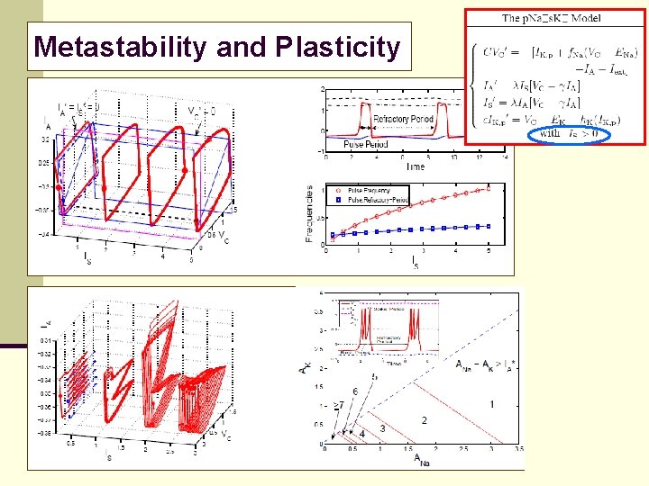 Metastability and Plasticity 