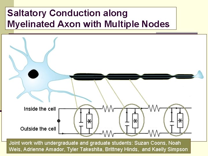 Saltatory Conduction along Myelinated Axon with Multiple Nodes Inside the cell Outside the cell