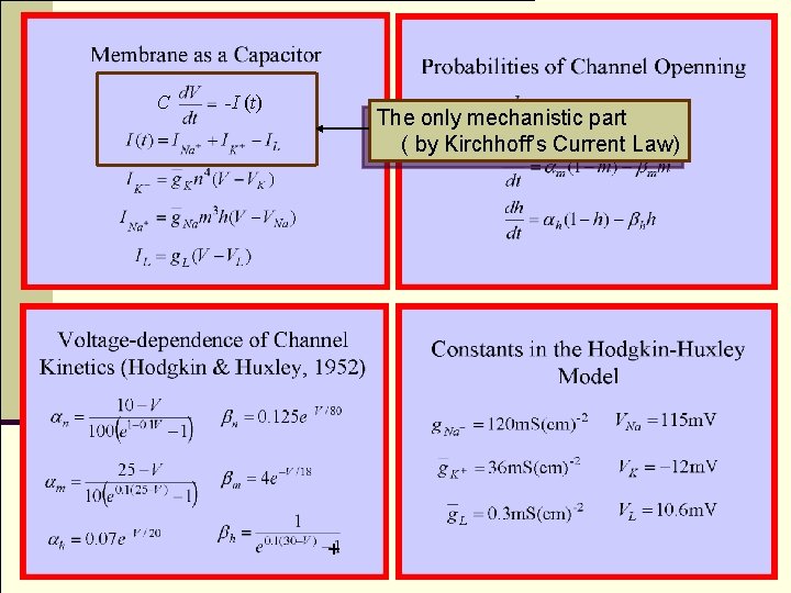 C -I (t) The only mechanistic part ( by Kirchhoff’s Current Law) + 