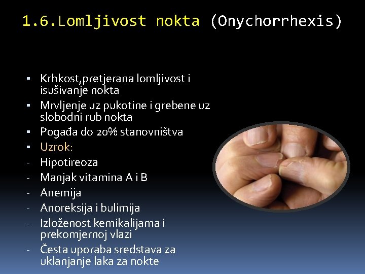 1. 6. Lomljivost nokta (Onychorrhexis) ▪ Krhkost, pretjerana lomljivost i ▪ ▪ ▪ -