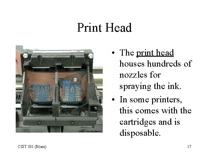 Print Head • The print head houses hundreds of nozzles for spraying the ink.
