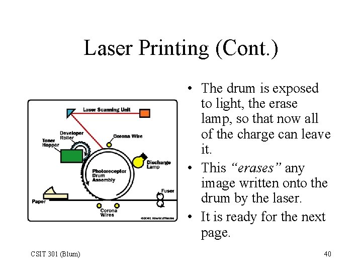 Laser Printing (Cont. ) • The drum is exposed to light, the erase lamp,