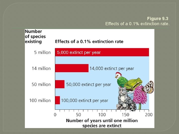Figure 9. 3 Effects of a 0. 1% extinction rate. 