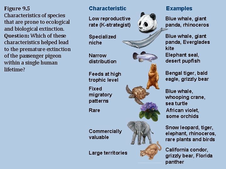 Figure 9. 5 Characteristics of species that are prone to ecological and biological extinction.