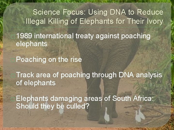 Science Focus: Using DNA to Reduce Illegal Killing of Elephants for Their Ivory �