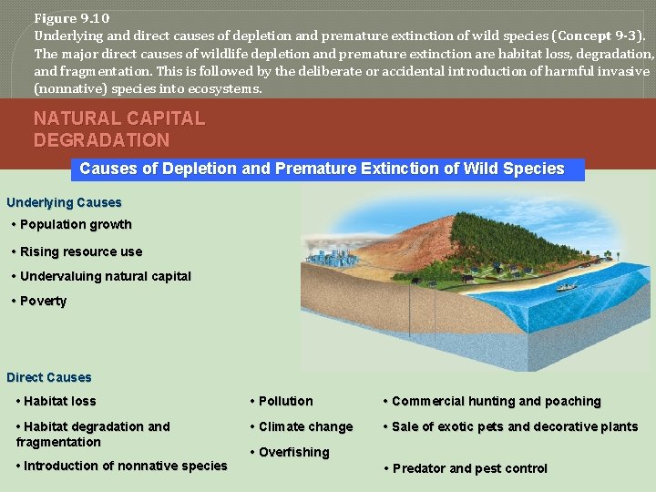 Figure 9. 10 Underlying and direct causes of depletion and premature extinction of wild