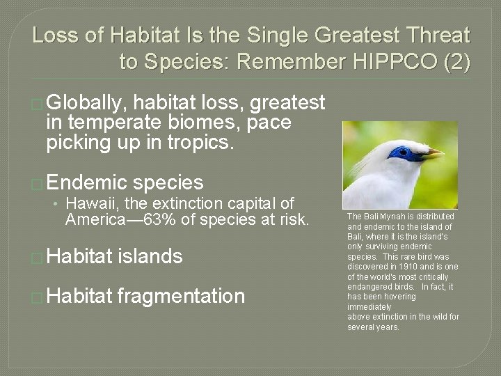 Loss of Habitat Is the Single Greatest Threat to Species: Remember HIPPCO (2) �