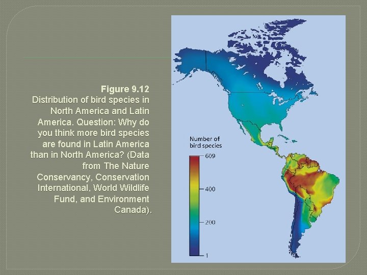 Figure 9. 12 Distribution of bird species in North America and Latin America. Question: