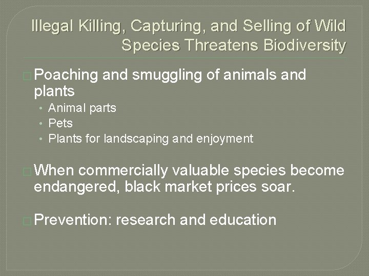 Illegal Killing, Capturing, and Selling of Wild Species Threatens Biodiversity � Poaching and smuggling