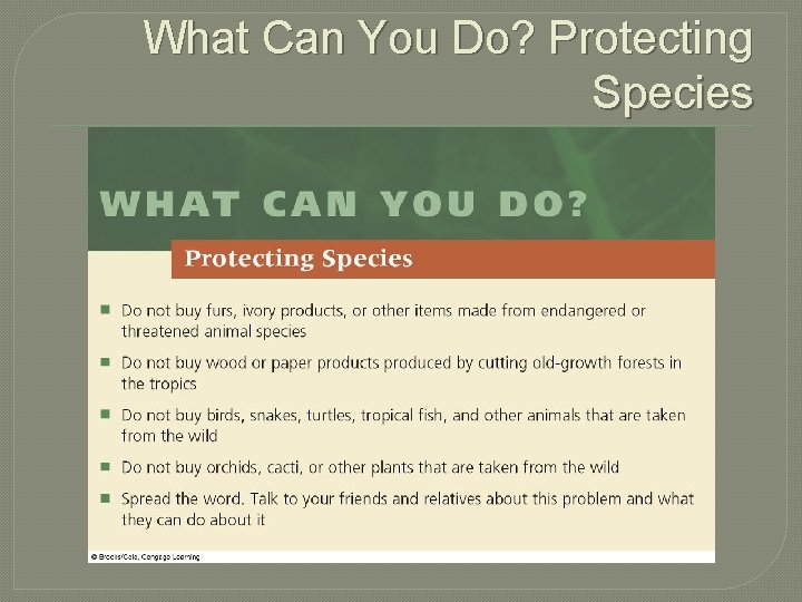 What Can You Do? Protecting Species 