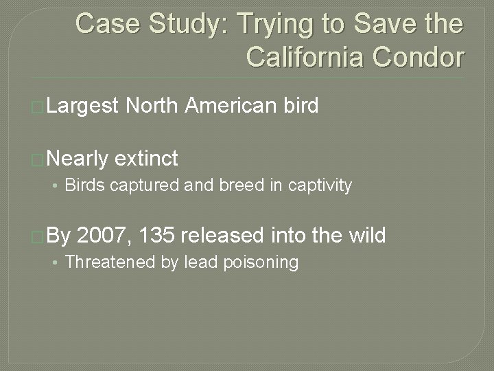 Case Study: Trying to Save the California Condor �Largest North American bird �Nearly extinct