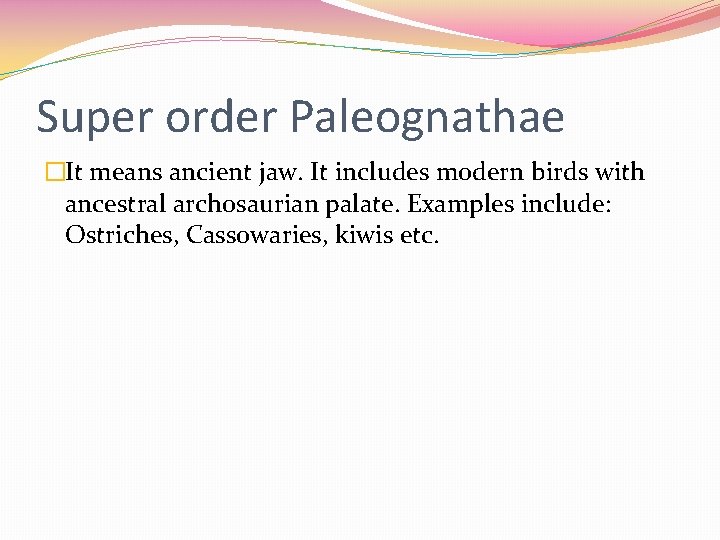 Super order Paleognathae �It means ancient jaw. It includes modern birds with ancestral archosaurian