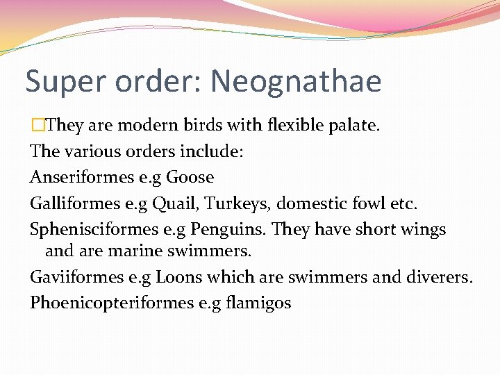 Super order: Neognathae �They are modern birds with flexible palate. The various orders include: