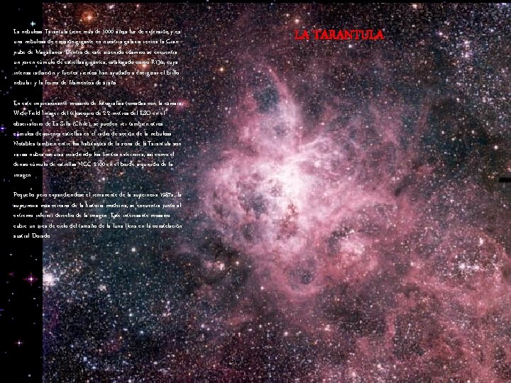 La nebulosa Tarantula tiene más de 1000 años luz de extensión y es una