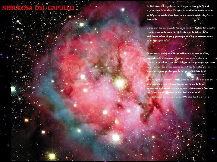 NEBULOSA DEL CAPULLO La Nebulosa del Capullo no es el hogar de una sola
