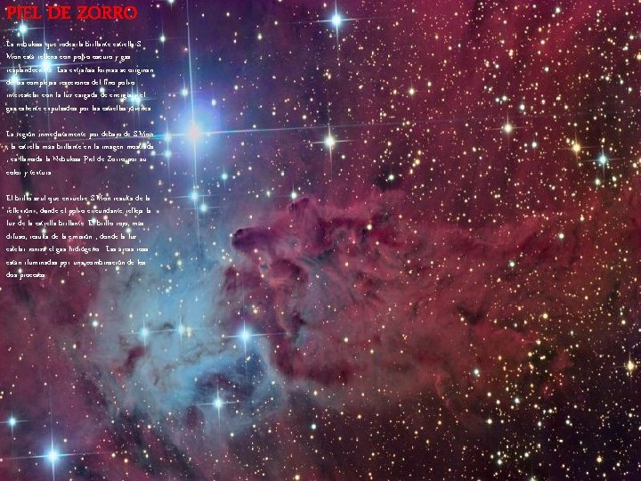 PIEL DE ZORRO La nebulosa que rodea la brillante estrella S Mon está rellena