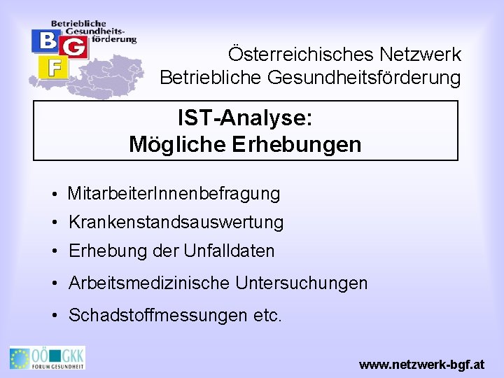 Österreichisches Netzwerk Betriebliche Gesundheitsförderung IST-Analyse: Mögliche Erhebungen • Mitarbeiter. Innenbefragung • Krankenstandsauswertung • Erhebung