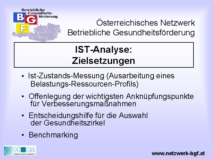 Österreichisches Netzwerk Betriebliche Gesundheitsförderung IST-Analyse: Zielsetzungen • Ist-Zustands-Messung (Ausarbeitung eines Belastungs-Ressourcen-Profils) • Offenlegung der