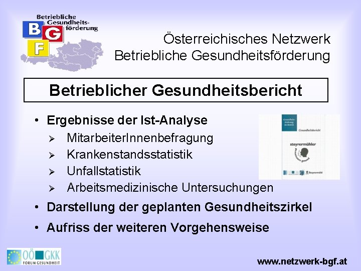 Österreichisches Netzwerk Betriebliche Gesundheitsförderung Betrieblicher Gesundheitsbericht • Ergebnisse der Ist-Analyse Ø Ø Mitarbeiter. Innenbefragung