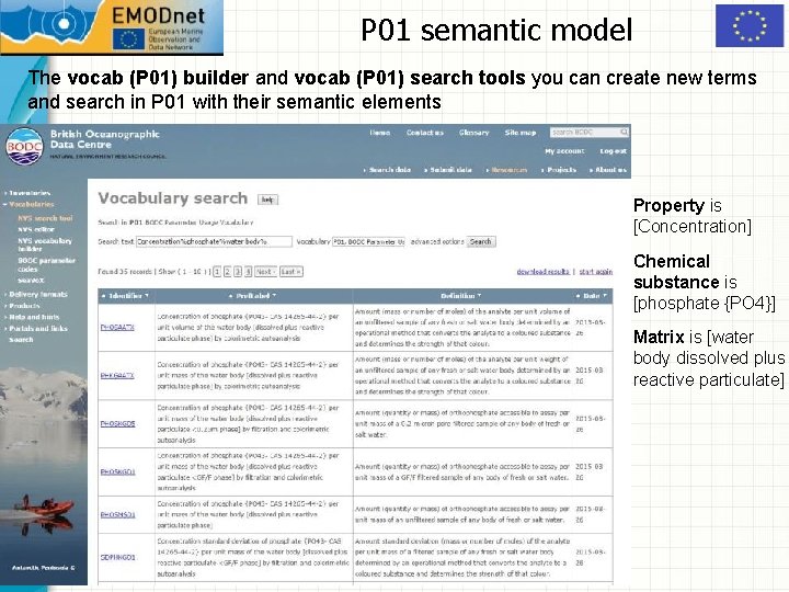 P 01 semantic model The vocab (P 01) builder and vocab (P 01) search