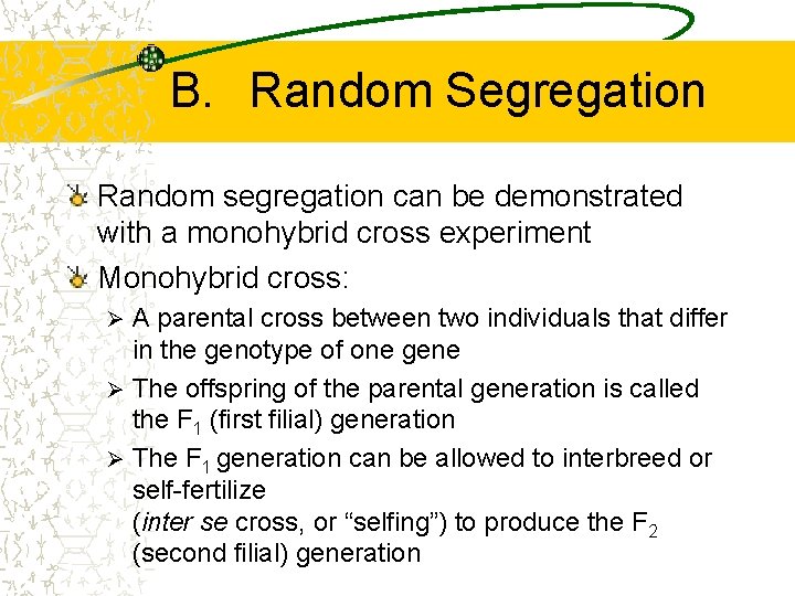 B. Random Segregation Random segregation can be demonstrated with a monohybrid cross experiment Monohybrid