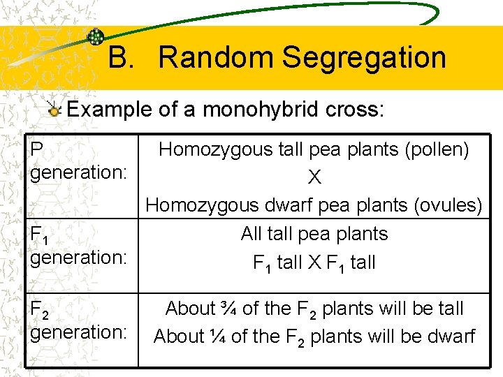 B. Random Segregation Example of a monohybrid cross: P generation: Homozygous tall pea plants