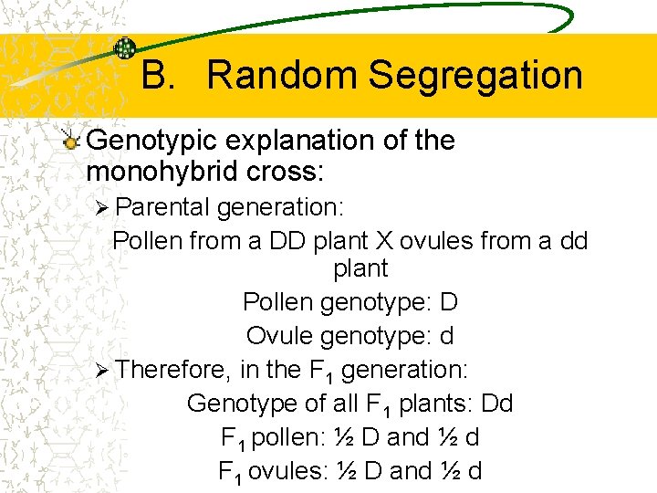 B. Random Segregation Genotypic explanation of the monohybrid cross: Ø Parental generation: Pollen from