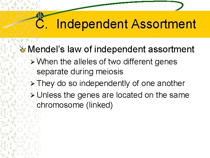 C. Independent Assortment Mendel’s law of independent assortment Ø When the alleles of two
