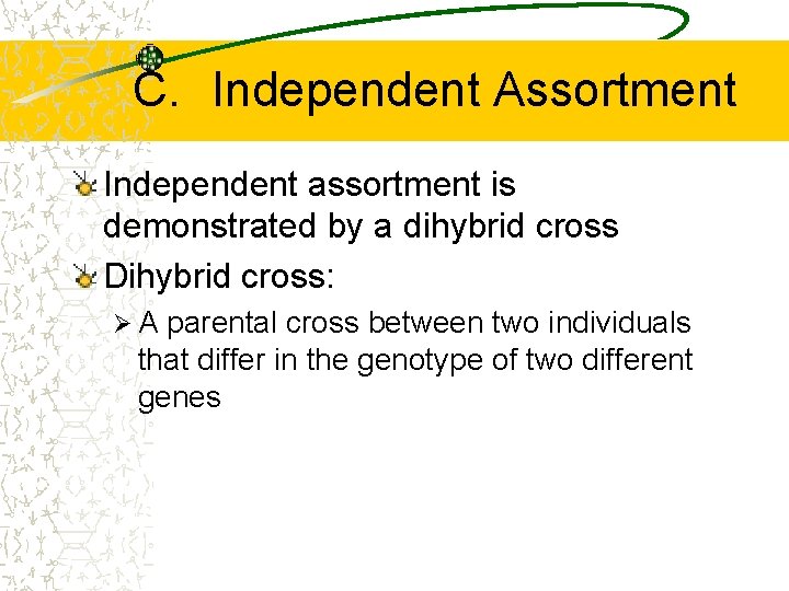C. Independent Assortment Independent assortment is demonstrated by a dihybrid cross Dihybrid cross: ØA