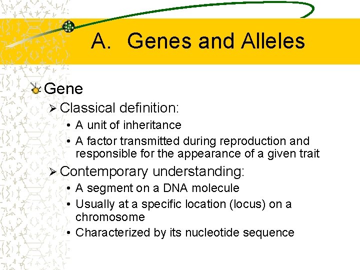 A. Genes and Alleles Gene Ø Classical definition: • A unit of inheritance •