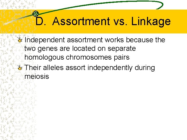 D. Assortment vs. Linkage Independent assortment works because the two genes are located on