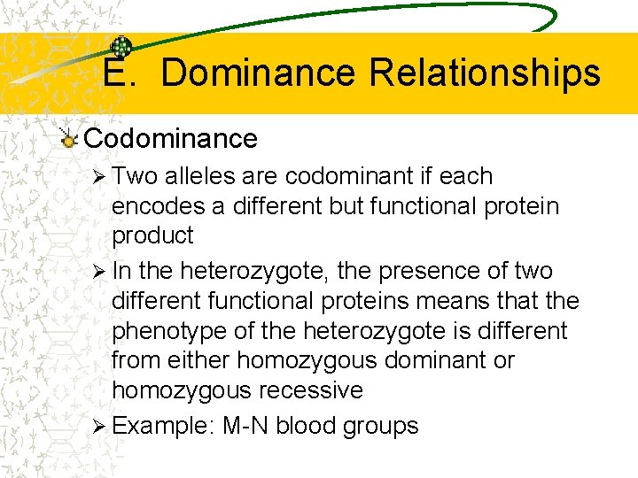 E. Dominance Relationships Codominance Ø Two alleles are codominant if each encodes a different