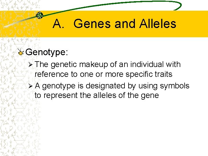 A. Genes and Alleles Genotype: Ø The genetic makeup of an individual with reference