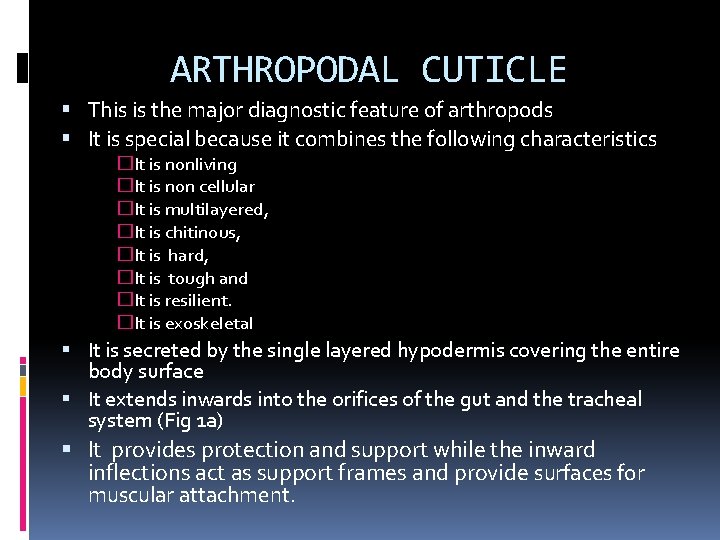 ARTHROPODAL CUTICLE This is the major diagnostic feature of arthropods It is special because
