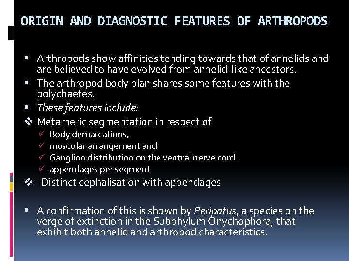 ORIGIN AND DIAGNOSTIC FEATURES OF ARTHROPODS Arthropods show affinities tending towards that of annelids