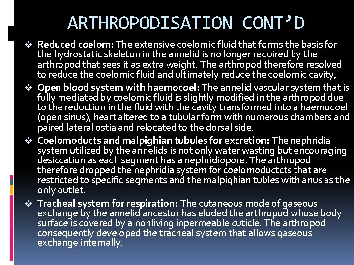 ARTHROPODISATION CONT’D v Reduced coelom: The extensive coelomic fluid that forms the basis for