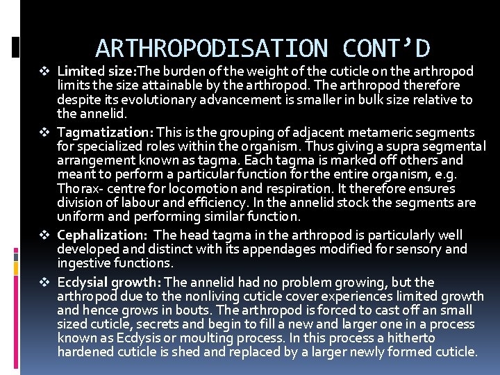 ARTHROPODISATION CONT’D v Limited size: The burden of the weight of the cuticle on