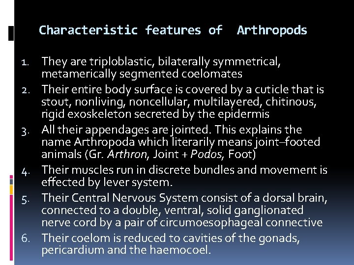 Characteristic features of Arthropods 1. They are triploblastic, bilaterally symmetrical, metamerically segmented coelomates 2.