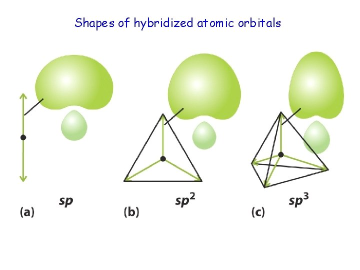 Shapes of hybridized atomic orbitals 